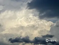 开云体育 登录-风云突变！明尼苏达森林狼赛前状态回暖，NBA季后赛版图或变，信心回归，数据趋势出现新变化(明尼苏达森林狼队季后赛战绩)